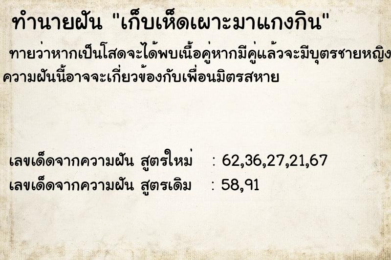 ทำนายฝัน เก็บเห็ดเผาะมาแกงกิน ทำนายฝัน เก็บเห็ดเผาะมาแกงกิน