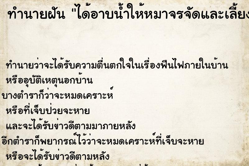 ทำนายฝันได้อาบน้ำให้หมาจรจัดและเลี้ยง ทำนายฝันทำนายฝันได้อาบน้ำให้หมาจรจัดและเลี้ยง
