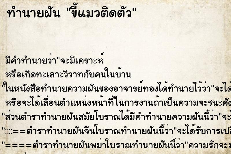 ทำนายฝัน ขี้แมวติดตัว ตำราโบราณ แม่นที่สุดในโลก