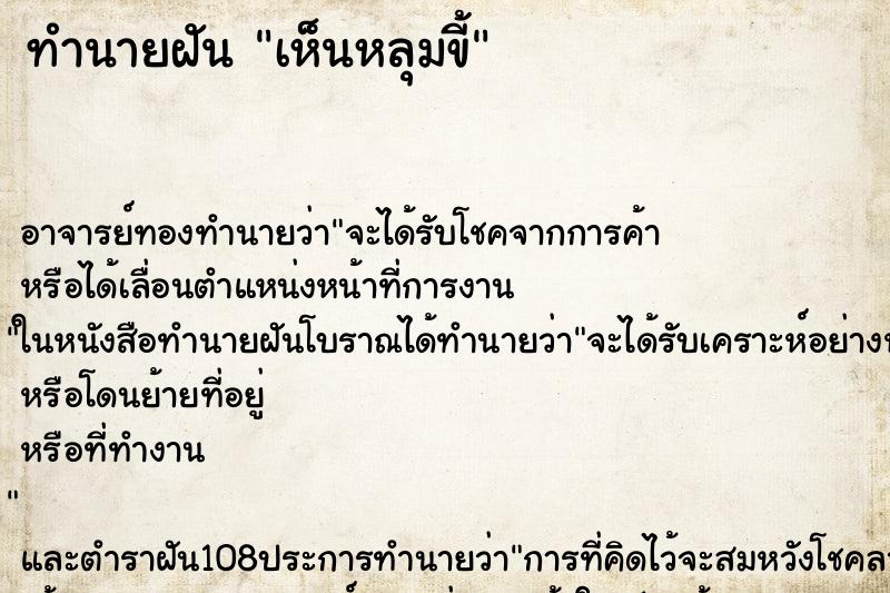 ทำนายฝันทำนายฝันเห็นหลุมขี้