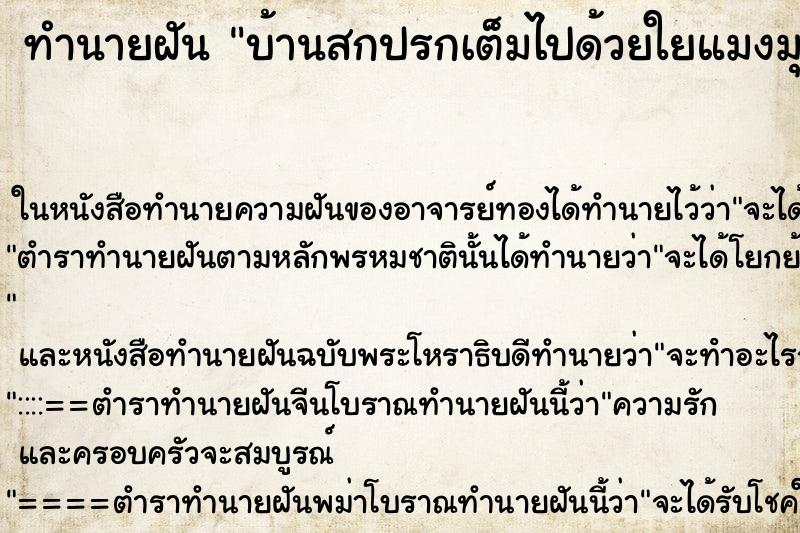 ทำนายฝันบ้านสกปรกเต็มไปด้วยใยแมงมุมและเศษผง ทำนายฝันทำนายฝันบ้านสกปรกเต็มไปด้วยใยแมงมุมและเศษผง