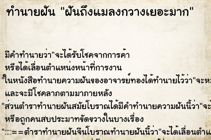 ทำนายฝัน ฝันถึงแมลงกวางเยอะมาก ทำนายฝัน ฝันถึงแมลงกวางเยอะมาก