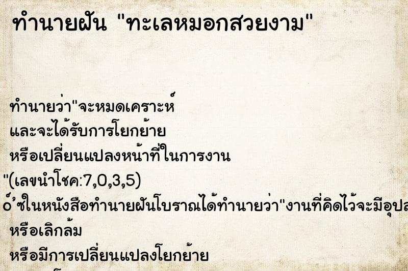 ทำนายฝันทะเลหมอกสวยงาม ทำนายฝันทำนายฝันทะเลหมอกสวยงาม