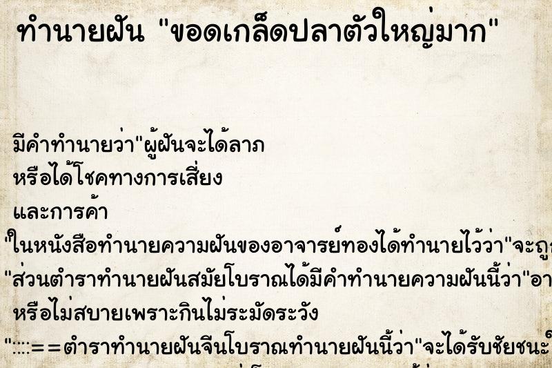 ทำนายฝันขอดเกล็ดปลาตัวใหญ่มาก ทำนายฝันทำนายฝันขอดเกล็ดปลาตัวใหญ่มาก