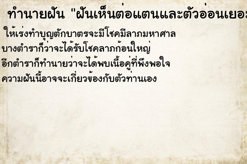 ทำนายฝันฝันเห็นต่อแตนและตัวอ่อนเยอะมาก ทำนายฝันทำนายฝันฝันเห็นต่อแตนและตัวอ่อนเยอะมาก