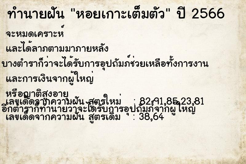 ทำนายฝัน หอยเกาะเต็มตัว