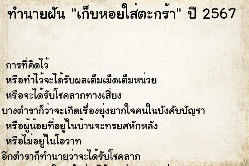 ทำนายฝันเก็บหอยใส่ตะกร้า ทำนายฝันทำนายฝันเก็บหอยใส่ตะกร้า