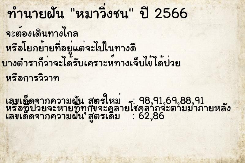 ทำนายฝัน หมาวิ่งชน