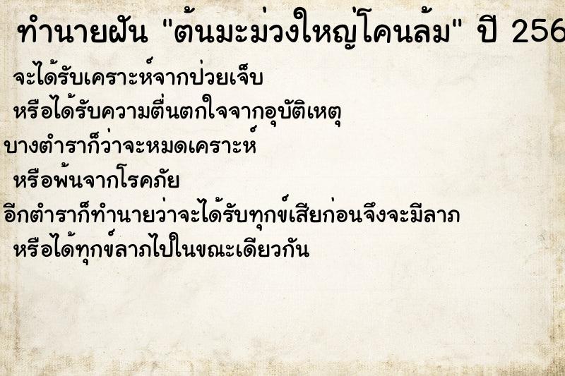 ทำนายฝันต้นมะม่วงใหญ่โคนล้ม ทำนายฝันทำนายฝันต้นมะม่วงใหญ่โคนล้ม