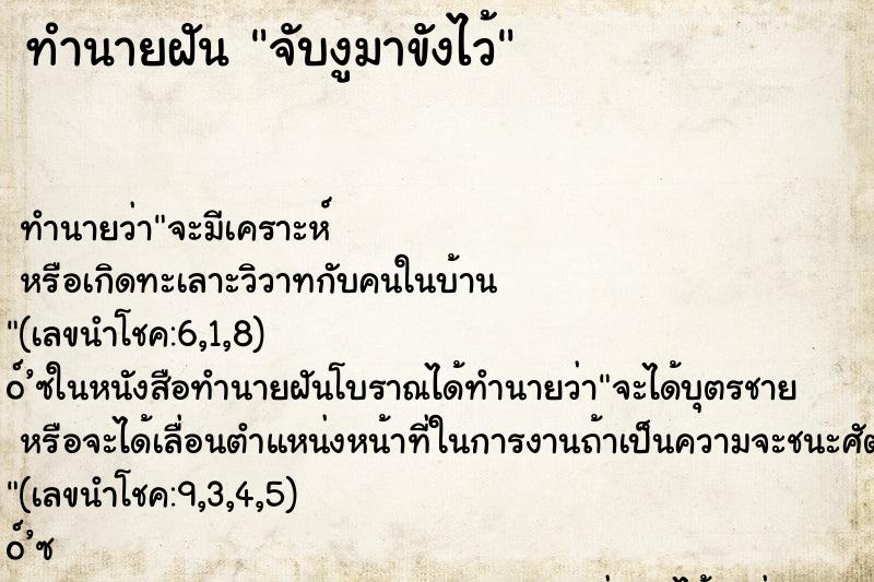 ทำนายฝัน จับงูมาขังไว้