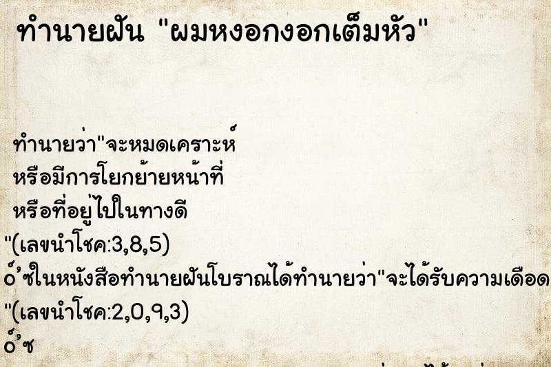 ทำนายฝัน ผมหงอกงอกเต็มหัว ทำนายฝัน ผมหงอกงอกเต็มหัว