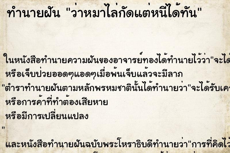 ทำนายฝันว่าหมาไล่กัดแต่หนีได้ทัน ทำนายฝันทำนายฝันว่าหมาไล่กัดแต่หนีได้ทัน