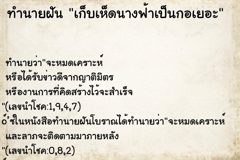 ทำนายฝันเก็บเห็ดนางฟ้าเป็นกอเยอะ ทำนายฝันทำนายฝันเก็บเห็ดนางฟ้าเป็นกอเยอะ