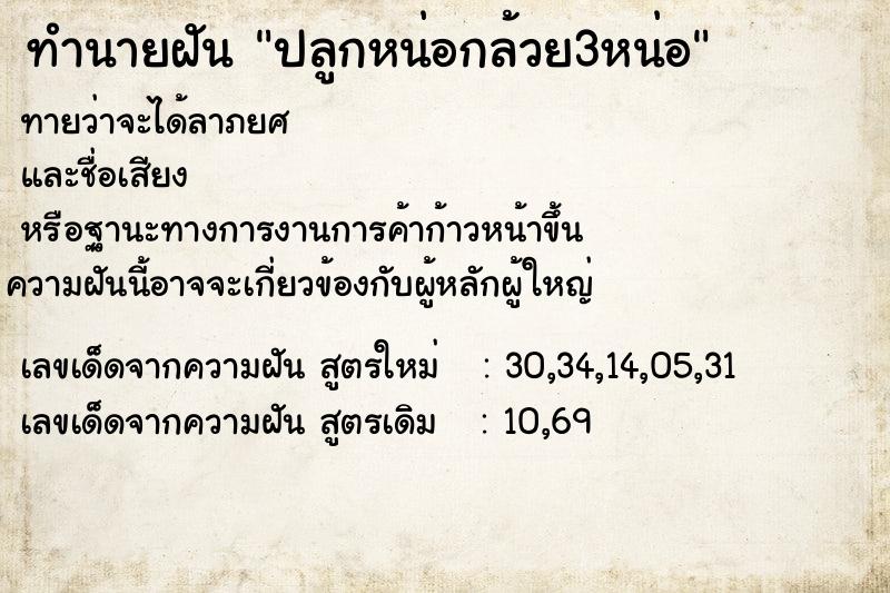 ทำนายฝันทำนายฝันปลูกหน่อกล้วย3หน่อ