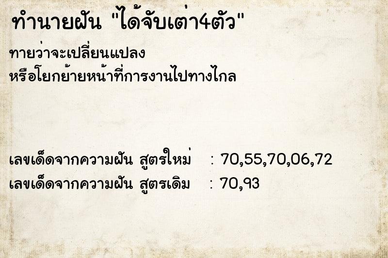 ทำนายฝัน ได้จับเต่า4ตัว ทำนายฝัน ได้จับเต่า4ตัว