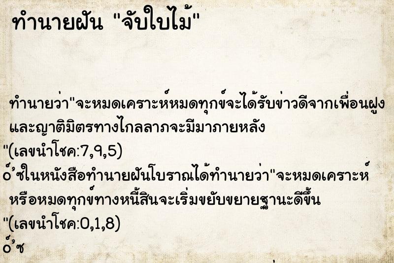 ทำนายฝันทำนายฝันจับใบไม้