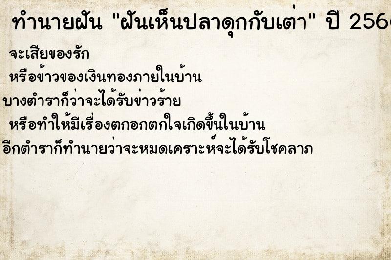 ทำนายฝัน ฝันเห็นปลาดุกกับเต่า ทำนายฝัน ฝันเห็นปลาดุกกับเต่า