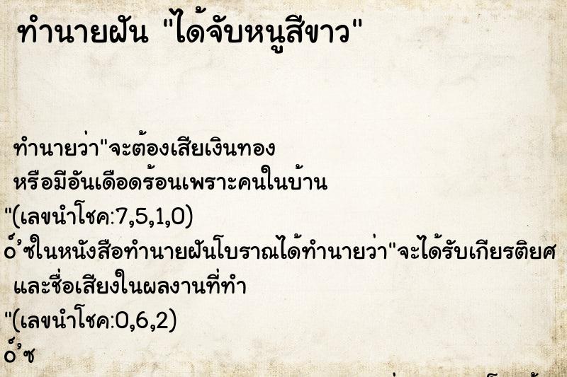 ทำนายฝันทำนายฝันได้จับหนูสีขาว