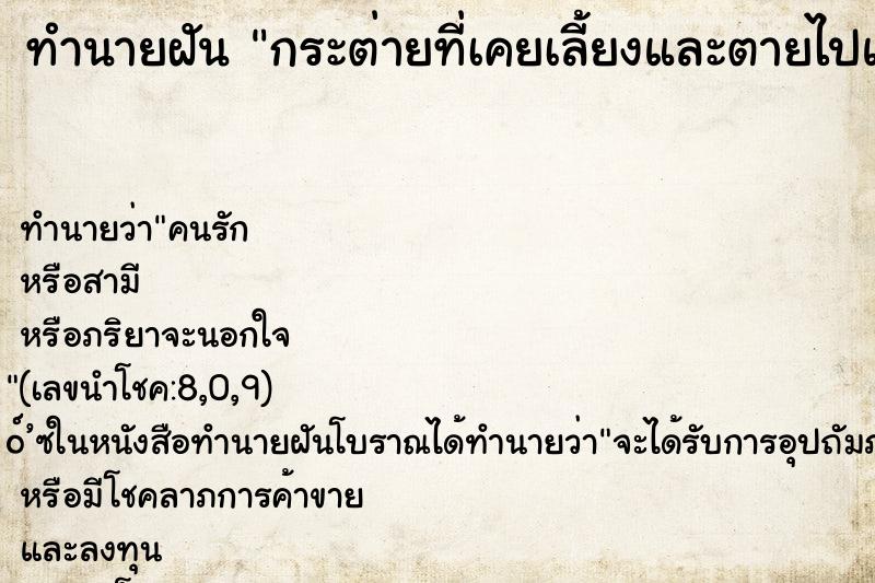 ทำนายฝัน กระต่ายที่เคยเลี้ยงและตายไปแล้วกลับมาหาที่บ้าน