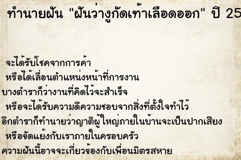 ทำนายฝันฝันว่างูกัดเท้าเลือดออก ทำนายฝันทำนายฝันฝันว่างูกัดเท้าเลือดออก