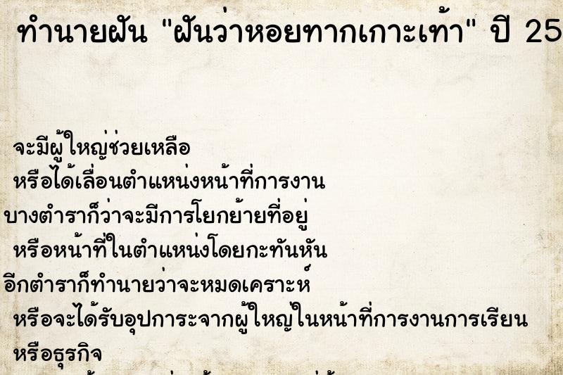 ทำนายฝันฝันว่าหอยทากเกาะเท้า ทำนายฝันทำนายฝันฝันว่าหอยทากเกาะเท้า