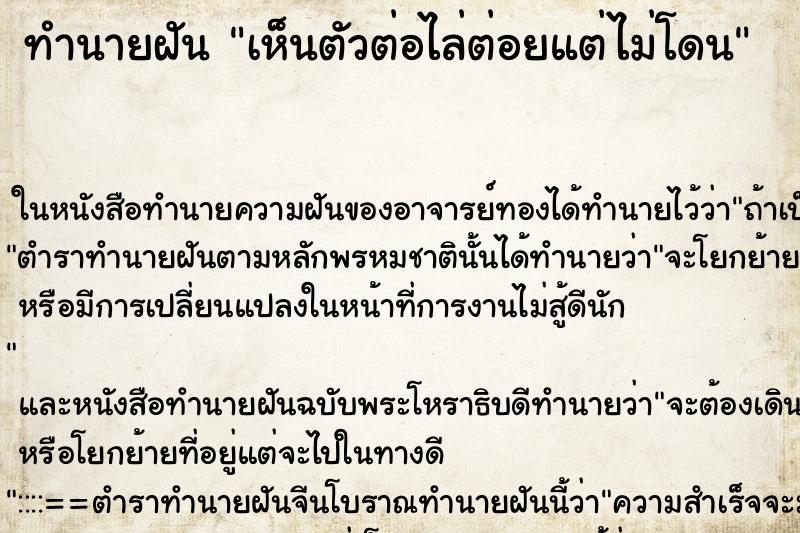 ทำนายฝันทำนายฝันเห็นตัวต่อไล่ต่อยแต่ไม่โดน