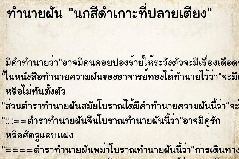 ทำนายฝัน นกสีดำเกาะที่ปลายเตียง ทำนายฝัน นกสีดำเกาะที่ปลายเตียง