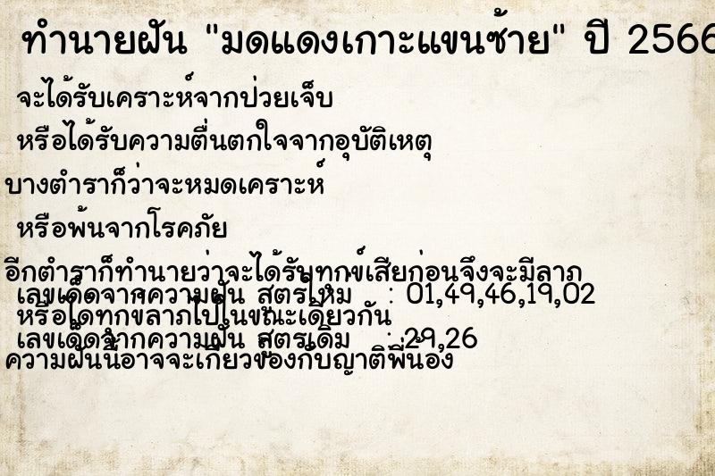ทำนายฝันมดแดงเกาะแขนซ้าย ทำนายฝันทำนายฝันมดแดงเกาะแขนซ้าย