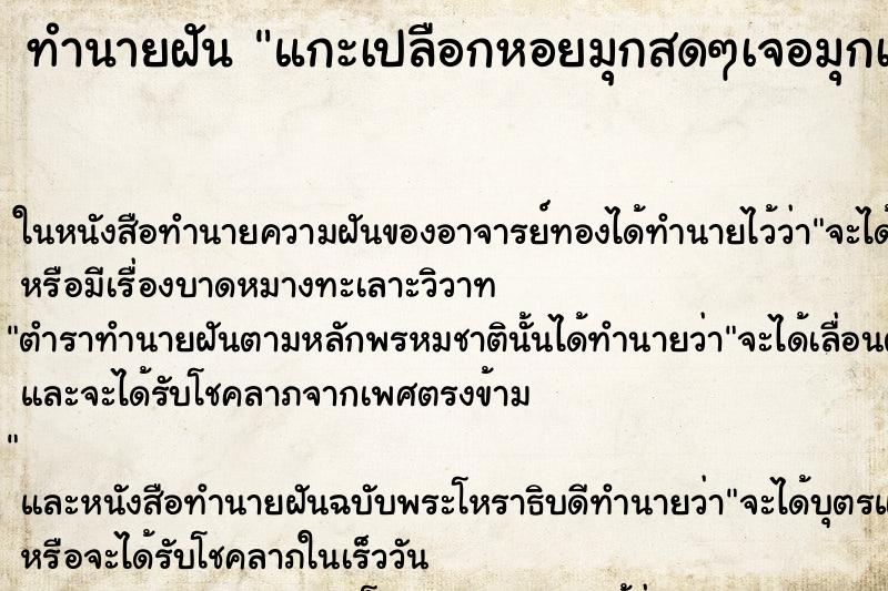 ทำนายฝันแกะเปลือกหอยมุกสดๆเจอมุกเม็ดใหญ่ ทำนายฝันทำนายฝันแกะเปลือกหอยมุกสดๆเจอมุกเม็ดใหญ่