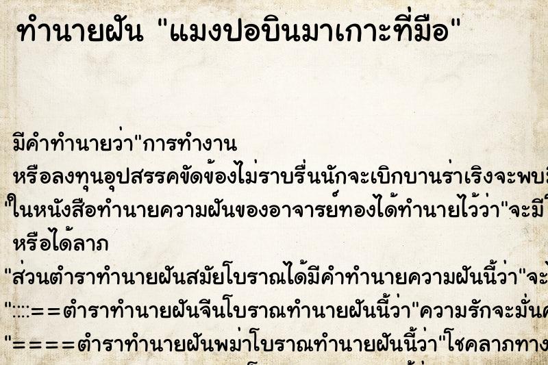 ทำนายฝัน แมงปอบินมาเกาะที่มือ ทำนายฝัน แมงปอบินมาเกาะที่มือ