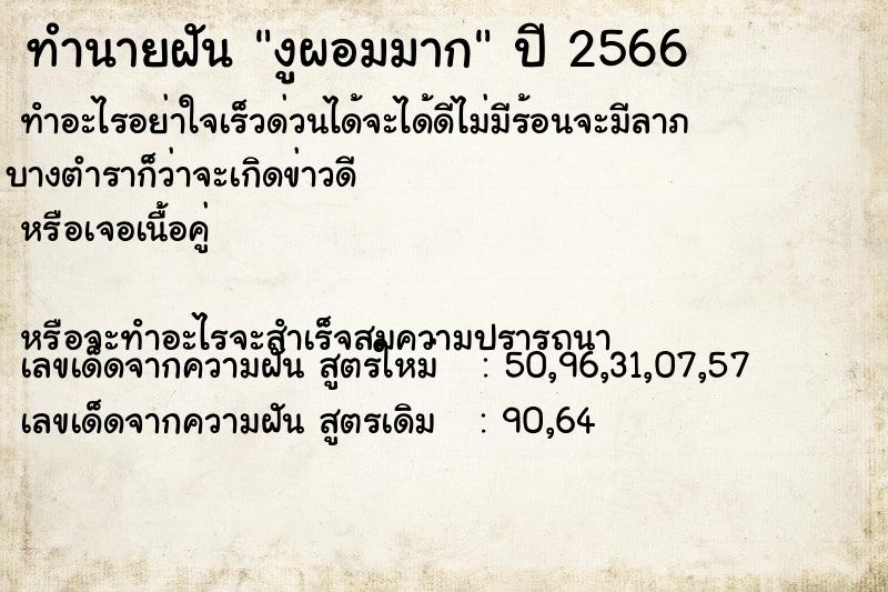 ทำนายฝัน งูผอมมาก ทำนายฝัน งูผอมมาก