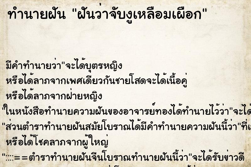 ทำนายฝันทำนายฝันฝันว่าจับงูเหลือมเผือก