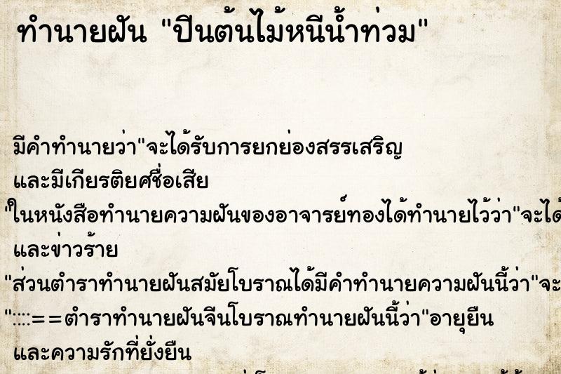 ทำนายฝัน ปีนต้นไม้หนีน้ำท่วม ทำนายฝัน ปีนต้นไม้หนีน้ำท่วม