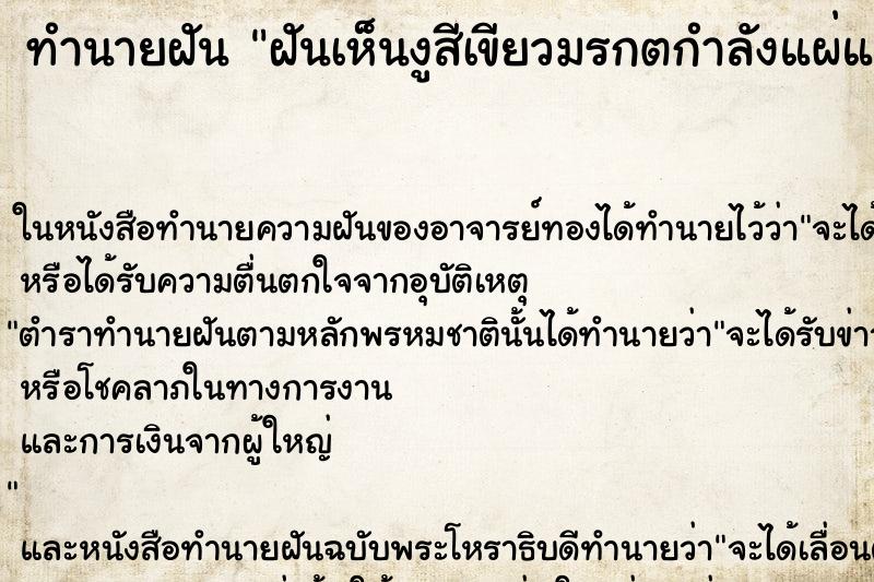 ทำนายฝันฝันเห็นงูสีเขียวมรกตกำลังแผ่แม่เบี้ยใส่ ทำนายฝันทำนายฝันฝันเห็นงูสีเขียวมรกตกำลังแผ่แม่เบี้ยใส่