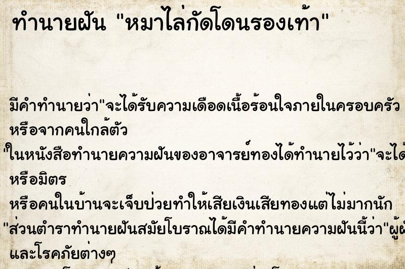ทำนายฝันหมาไล่กัดโดนรองเท้า ทำนายฝันทำนายฝันหมาไล่กัดโดนรองเท้า
