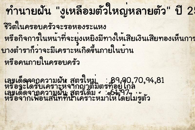 ทำนายฝันงูเหลือมตัวใหญ่หลายตัว ทำนายฝันทำนายฝันงูเหลือมตัวใหญ่หลายตัว