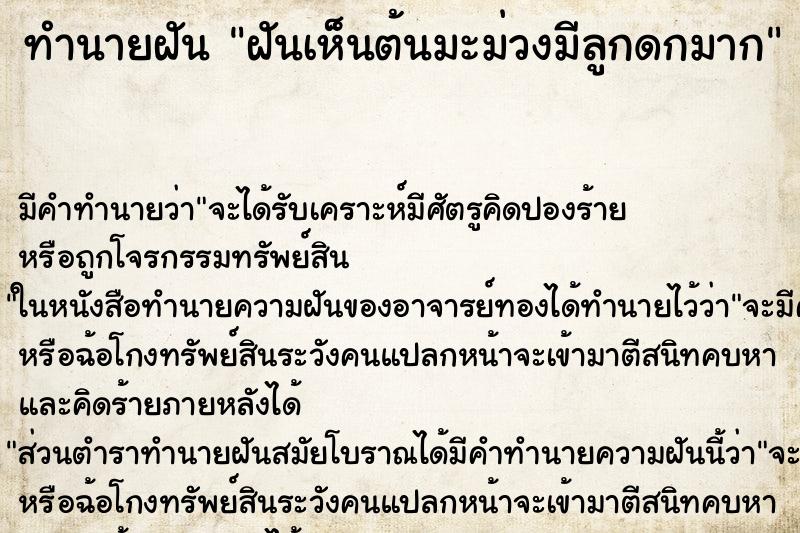 ทำนายฝัน ฝันเห็นต้นมะม่วงมีลูกดกมาก ทำนายฝัน ฝันเห็นต้นมะม่วงมีลูกดกมาก