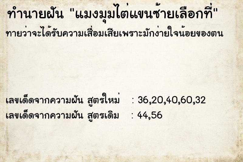 ทำนายฝัน แมงมุมไต่แขนซ้ายเลือกที่