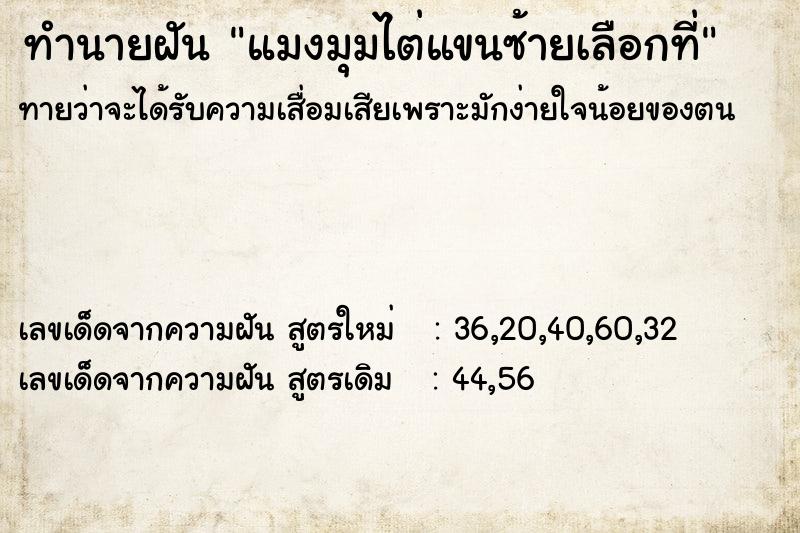 ทำนายฝัน แมงมุมไต่แขนซ้ายเลือกที่ ตำราโบราณ แม่นที่สุดในโลก