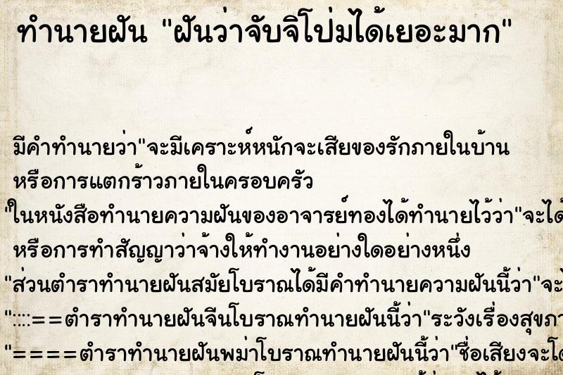 ทำนายฝัน ฝันว่าจับจิโป่มได้เยอะมาก ทำนายฝัน ฝันว่าจับจิโป่มได้เยอะมาก