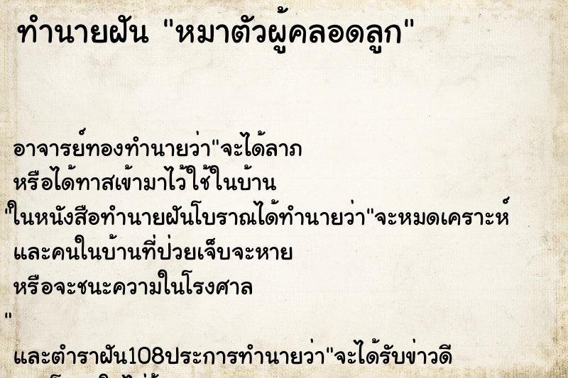 ทำนายฝันหมาตัวผู้คลอดลูก ทำนายฝันทำนายฝันหมาตัวผู้คลอดลูก