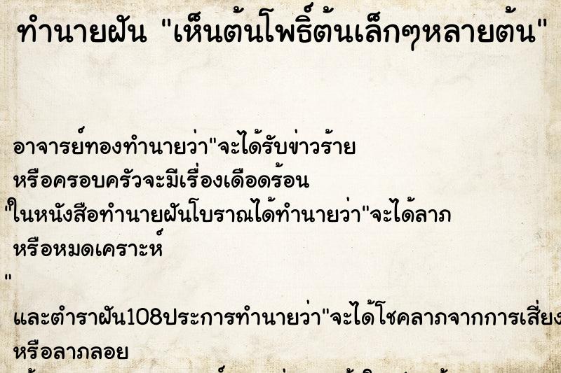 ทำนายฝัน เห็นต้นโพธิ์ต้นเล็กๆหลายต้น ทำนายฝัน เห็นต้นโพธิ์ต้นเล็กๆหลายต้น
