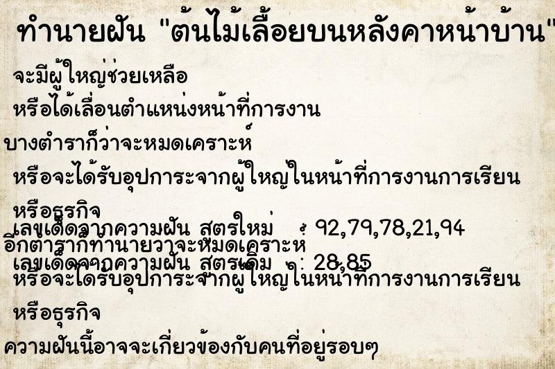 ทำนายฝันต้นไม้เลื้อยบนหลังคาหน้าบ้าน ทำนายฝันทำนายฝันต้นไม้เลื้อยบนหลังคาหน้าบ้าน