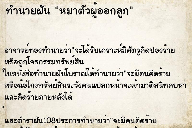 ทำนายฝัน หมาตัวผู้ออกลูก