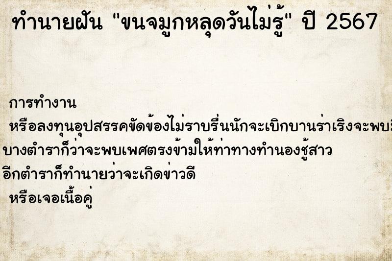 ทำนายฝันขนจมูกหลุดวันไม่รู้ ทำนายฝันทำนายฝันขนจมูกหลุดวันไม่รู้