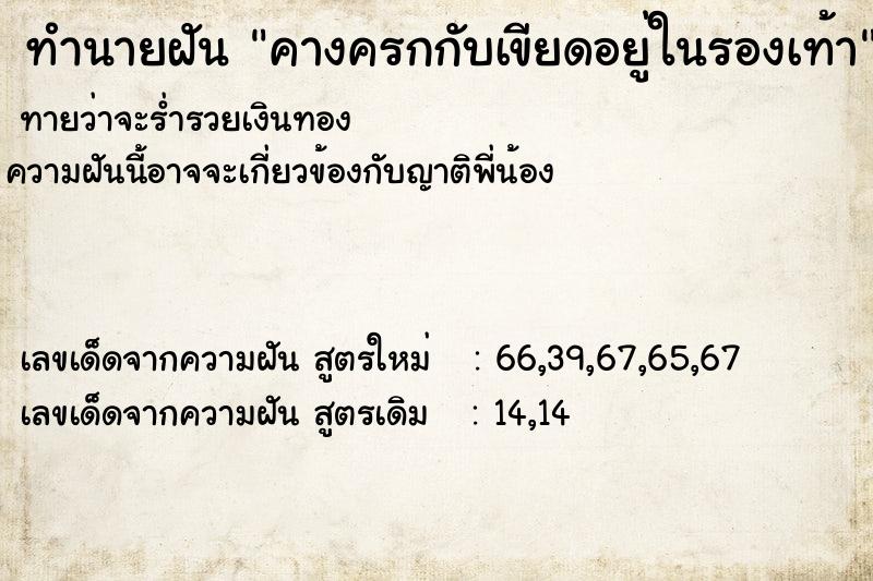 ทำนายฝันคางครกกับเขียดอยู่ในรองเท้า ทำนายฝันทำนายฝันคางครกกับเขียดอยู่ในรองเท้า