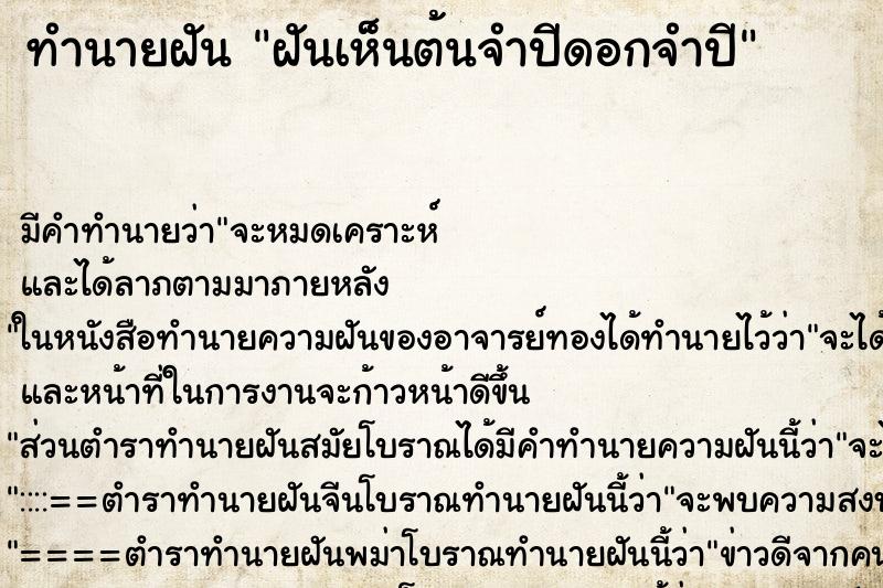 ทำนายฝัน ฝันเห็นต้นจำปีดอกจำปี ทำนายฝัน ฝันเห็นต้นจำปีดอกจำปี