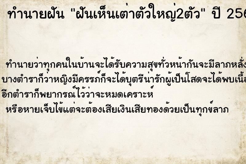 ทำนายฝันฝันเห็นเต่าตัวใหญ่2ตัว ทำนายฝันทำนายฝันฝันเห็นเต่าตัวใหญ่2ตัว