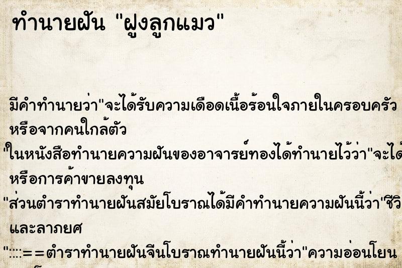 ทำนายฝัน ฝูงลูกแมว ทำนายฝัน ฝูงลูกแมว