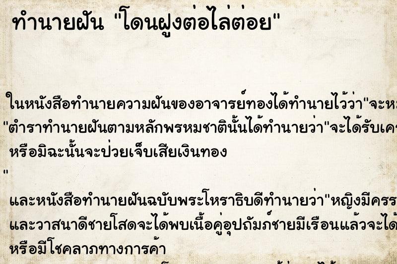 ทำนายฝัน โดนฝูงต่อไล่ต่อยแม่นๆ ฟรี ด้วยตำราหนังสือทำนายฝันโบราณ ทำนายฝันโดนฝูงต่อไล่ต่อย